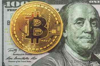 Should Food Tech Cos Fuel Bitcoin Adoption? - The Spoon