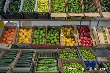 Booker backs a food box program for fruits and vegetables - Successful Farming