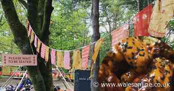Forest Feastival first review: Merthyr Mawr street food event has the grub but must iron out the bumps - Wales Online