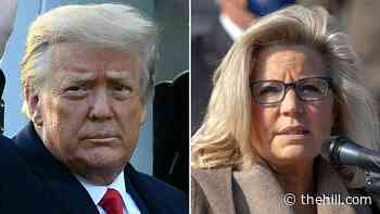 The Memo: Trump's critics face wrath of GOP base