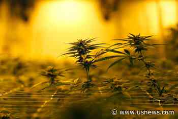 House Agrees to Expand Louisiana's Medical Marijuana Program