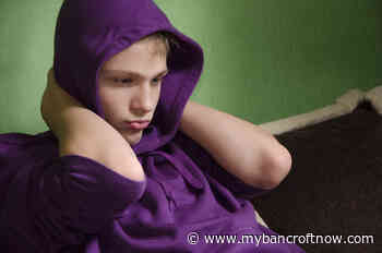 Children's Mental Health Services supporting overwhelmed parents - mybancroftnow.com