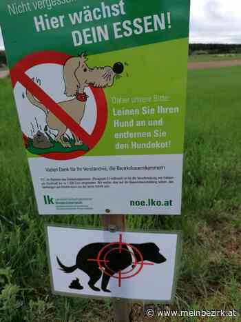 Mollram/Bezirk Neunkirchen: UPDATE zu Hunde im Fadenkreuz – Stadtchef will Bauern ins Gewissen reden - Neunk - meinbezirk.at