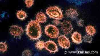 Coronavirus variant cases up 14% in Kansas over weekend, most were from Sedgwick County - Wichita Eagle