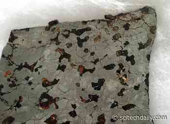 Meteorites Reveal Ancient Magnetic Record of Protoplanet Churn