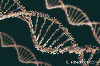 Scientists Successfully Sequenced the Genome of Previously Extinct Date Palms