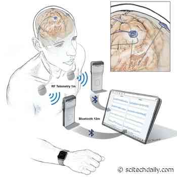 Researchers Wirelessly Stream Human Brain Activity During Normal Life Activities