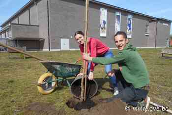 Leerlingen vergroenen speelplaats van Campus Het spoor - Gazet van Antwerpen