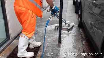 Il Comune di Parma ai cittadini: "Noi puliamo le strade, voi raccogliete deiezioni dei vostri cani" - La Repubblica