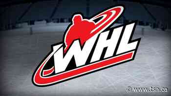 WHL: Tarzwell's OT winner over Hitmen extends Rebels' win streak - TSN