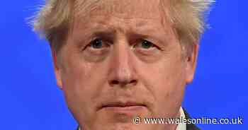 Boris Johnson's mobile: What can hackers do with your phone number? - Wales Online