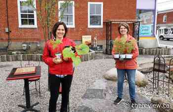 Vankleek Hill Creating Centre hosting outdoor plant sale on May 22 - The Review Newspaper