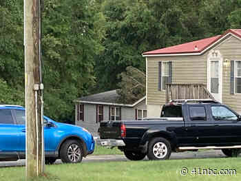 Tree falls on Houston County home, killing woman inside - 41 NBC News