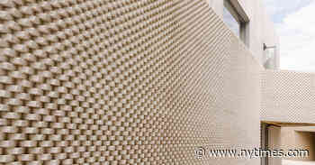 An Arts Patron Widens Her Reach With a Brooklyn Museum