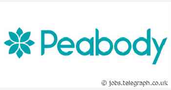 Peabody: Mobile Playground Inspector