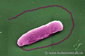 Last-resort antibiotic pops bacteria like balloons, study suggests - Dudley News