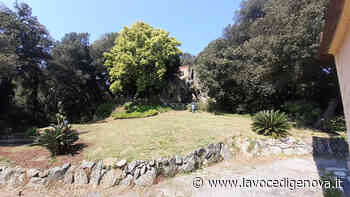 Villa Duchessa a Voltri, il Belvedere ritrova la sua antica bellezza - LaVoceDiGenova.it
