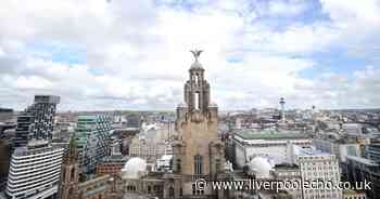 Liver building tours return giving breathtaking view of the city