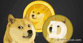 DogeCoin surpasses 50 cents: What's behind this latest surge     - CNET