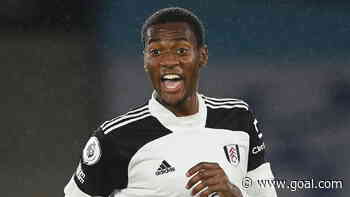 Fulham’s Nigerians: What next after inevitable relegation?