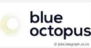 Blue Octopus Recruitment Limited: Senior Maintenance Technician
