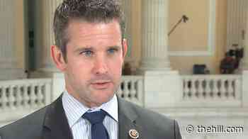 Kinzinger backs Cheney on criticism of Republican Party