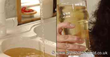 Large parts of Plymouth complaining of brown tap water - Plymouth Live