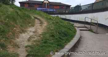 Plymouth's desire paths - made by the people, for the people - Plymouth Live
