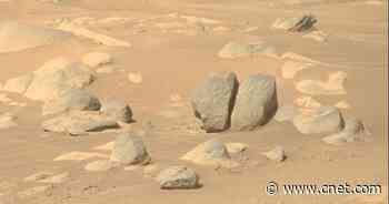 NASA Perseverance Mars rover spots delightfully goofy rocks (hello, butt rock)     - CNET