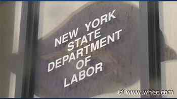 Senators call for a forensic audit of NYSDOL and full accounting of fraud