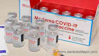 SLO County reports 26 new coronavirus cases as infection rates drop - San Luis Obispo Tribune