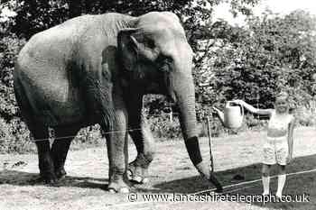 Tina the elephant was a jumbo attraction in Ribble Valley