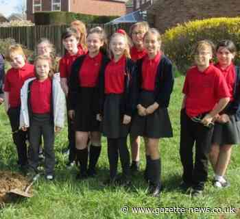 Eco-conscious Clacton pupils plant fruit trees