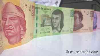 Austeridad tiene que darse con límites definidos: Pedro Tello | Luis Cardenas - MVS Noticias