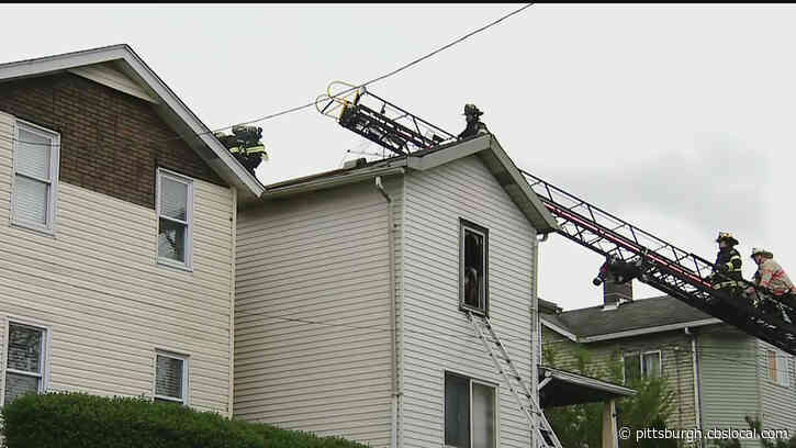 Firefighters Rescue Dog From Burning Home Full Of Clutter In Beaver County