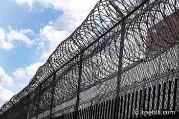 Biden set to flex clemency powers