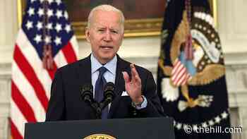 Democrats fret over Biden spending
