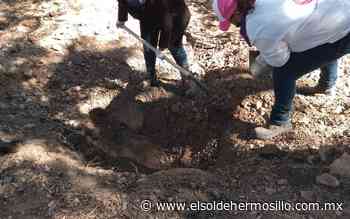 Ubican Madres Buscadoras restos humanos en la Costa de Hermosillo - El Sol de Hermosillo