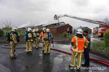 Gino verliest oldtimer van 101 jaar oud na zware brand: “Gelukkig waren mijn zoon en schoondochter niet in de buurt”