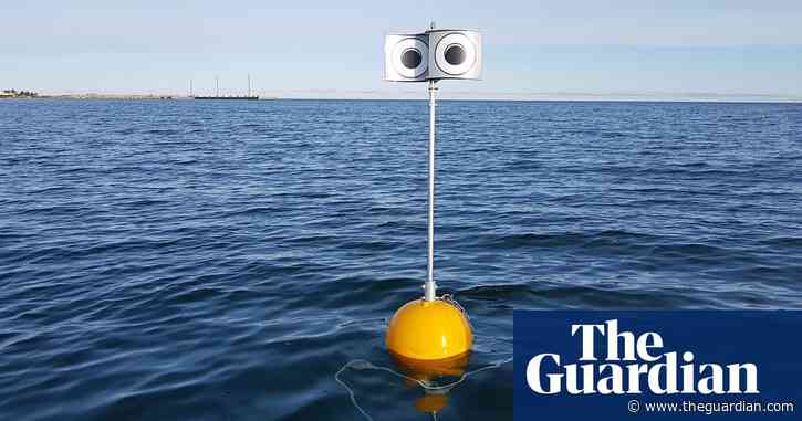 Floating ‘WALL-E’ scarecrow stops seabirds diving into fishing nets