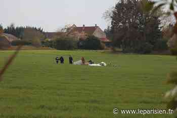 Crash mortel à Saint-Pathus : l'avion a percuté un cormoran - Le Parisien