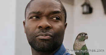 David Oyelowo Fights for Representation in Family Films