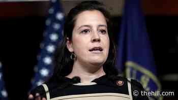 Trump backs Stefanik to replace Cheney
