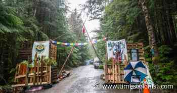 Forest protesters add government to civil action by logging company - Times Colonist