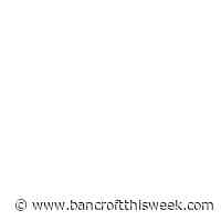 Turtle nesting season inches closer | Bancroft this Week - Bancroft This Week