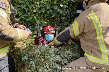 Cat missing for 10 days rescued from 20-foot well - St Helens Star