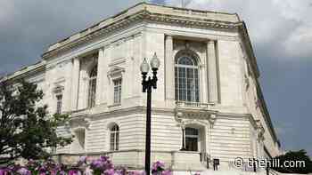 Capitol Police arrest man for throwing rocks at Senate office building
