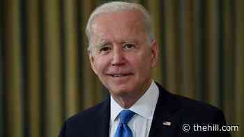 Biden: GOP in the midst of a 'mini-revolution'