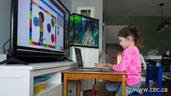 Ontario educators, advocacy groups raise alarm about online learning plan
