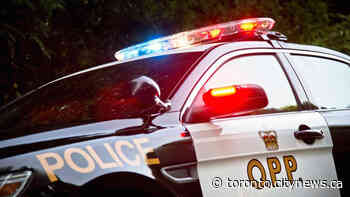1 dead in 5 vehicle crash in Flamborough - CityNews Toronto